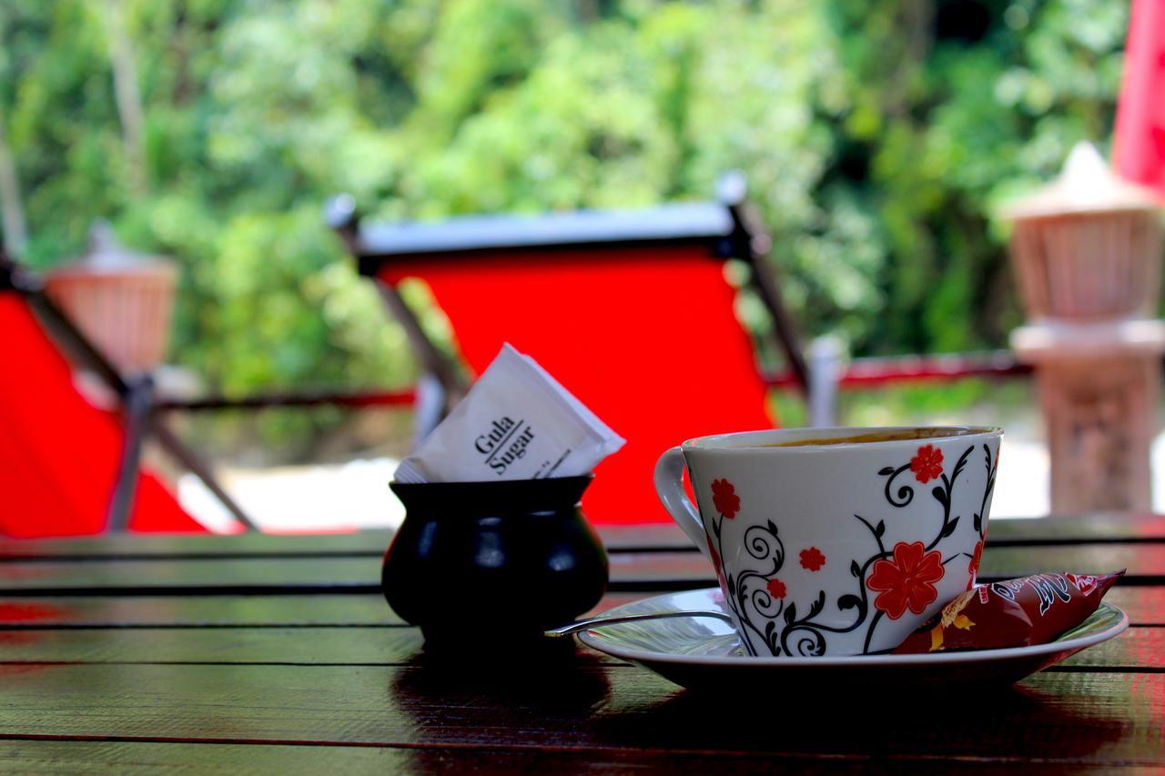 Ecotravel Cottages Bukit Lawang Exterior foto